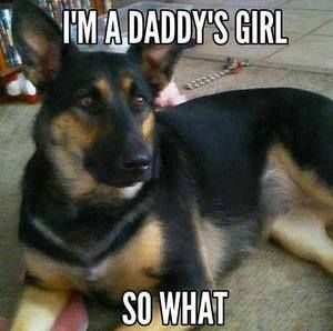 Meet your Posher, Justice